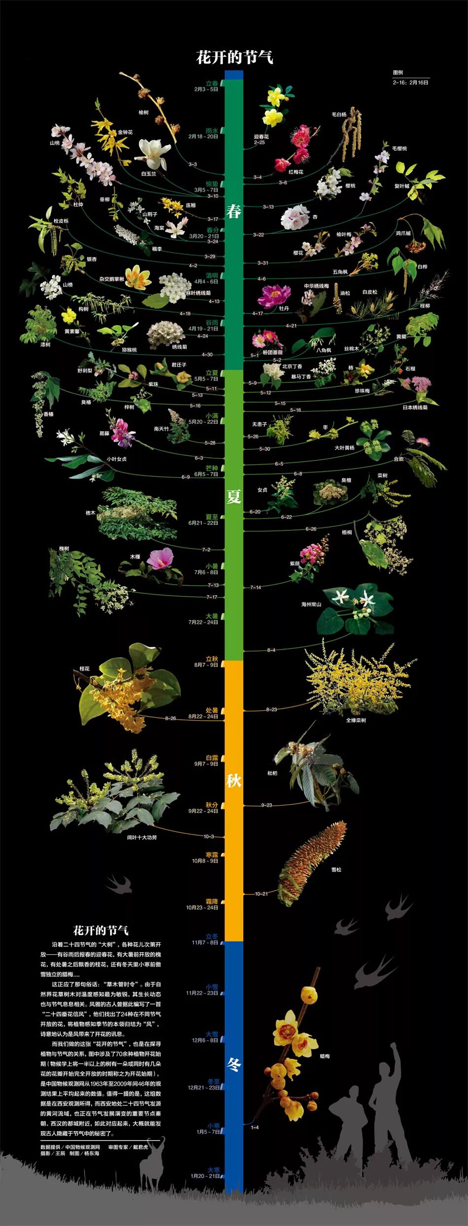 各種花開(kāi)的節(jié)氣 各種花開(kāi)的節(jié)氣