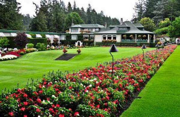 學(xué)習(xí)國外苗木行業(yè)經(jīng)驗，搶先了解國內(nèi)市場動態(tài)