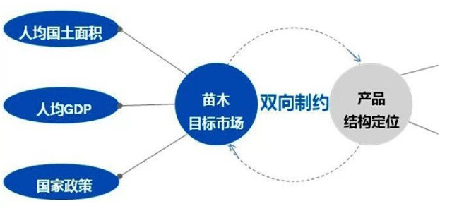 學(xué)習(xí)國外苗木行業(yè)經(jīng)驗，搶先了解國內(nèi)市場動態(tài)